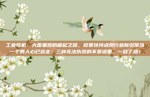 工业母机：大国重器的崛起之路，政策扶持点燃行业新引擎当一个男人心已远走：三种无法伪装的不爱迹象，一目了然！