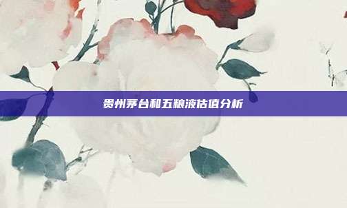 贵州茅台和五粮液估值分析