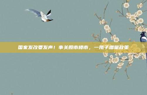 国家发改委发声！事关股市楼市，一揽子增量政策