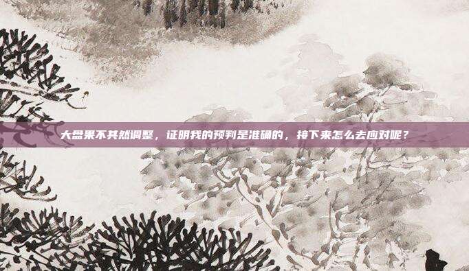 大盘果不其然调整，证明我的预判是准确的，接下来怎么去应对呢？