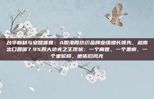 台华新材与安踏体育：A股港股纺织品牌业绩增长领先，越南出口回暖7.9%四大功夫之王现状：一个离世，一个患病，一个坐轮椅，他依旧风光