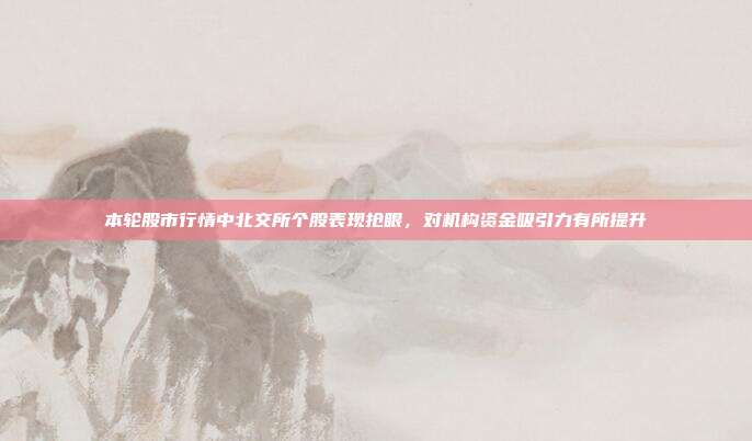 本轮股市行情中北交所个股表现抢眼，对机构资金吸引力有所提升