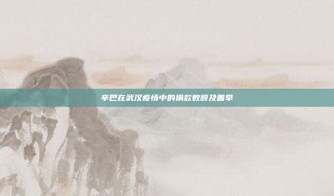 辛巴在武汉疫情中的捐款数额及善举