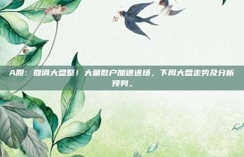 A股：回调大盘整！大量散户加速进场，下周大盘走势及分析预判。