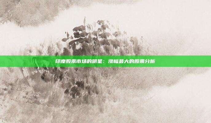 印度股票市场的明星：涨幅最大的股票分析