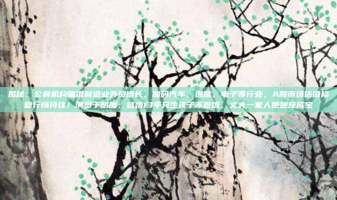 揭秘：公募机构瞄准制造业外贸增长，加码汽车、通信、电子等行业，A股市场估值修复行情持续！演员于明加：结婚13年只生孩子不做饭，丈夫一家人把她宠成宝