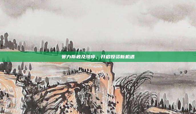 赛力斯触及涨停，开启投资新机遇