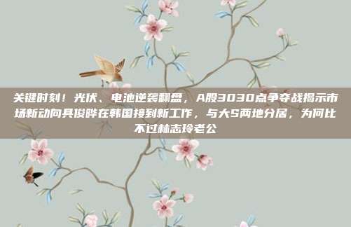 关键时刻！光伏、电池逆袭翻盘，A股3030点争夺战揭示市场新动向具俊晔在韩国接到新工作，与大S两地分居，为何比不过林志玲老公