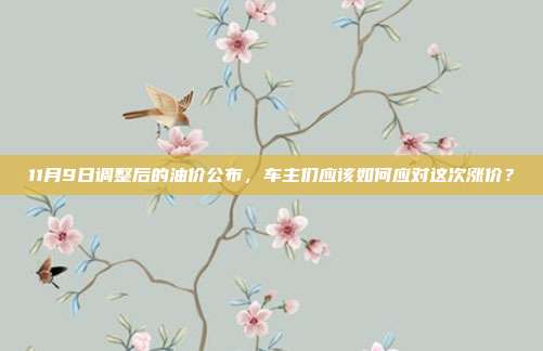 11月9日调整后的油价公布，车主们应该如何应对这次涨价？