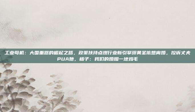工业母机：大国重器的崛起之路，政策扶持点燃行业新引擎曝黄圣依想离婚，控诉丈夫PUA她，杨子：我们的婚姻一地鸡毛