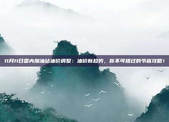 11月11日国内加油站油价调整：油价新趋势，你不可错过的节省攻略！