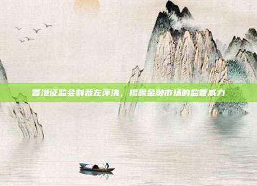 香港证监会制裁左萍沸，揭露金融市场的监管威力
