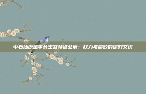 中石油原董事长王宜林被公诉：权力与腐败的深刻交织