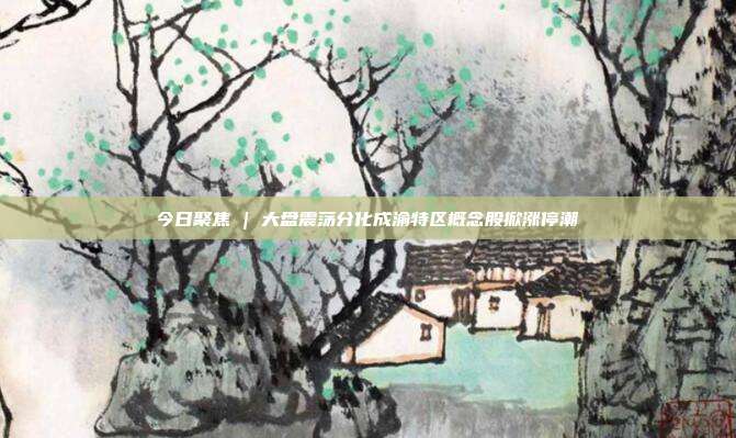 今日聚焦 | 大盘震荡分化成渝特区概念股掀涨停潮