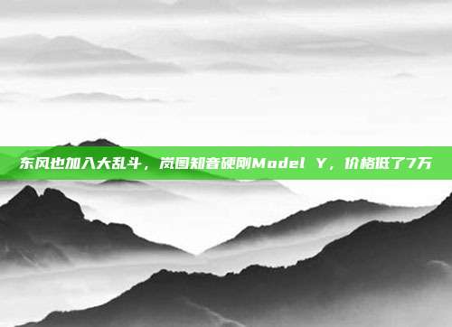 东风也加入大乱斗，岚图知音硬刚Model Y，价格低了7万