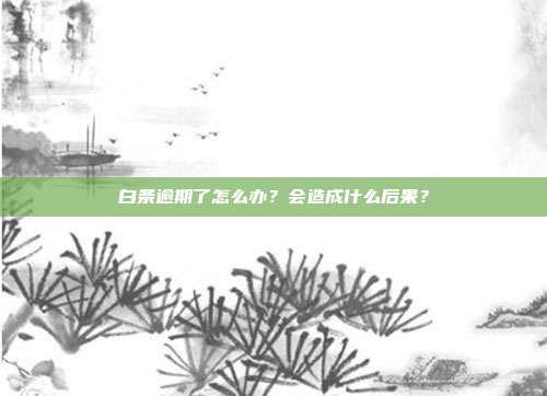 白条逾期了怎么办？会造成什么后果？