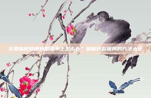花呗临时额度到期还不上怎么办？破解还款困局的方法大全