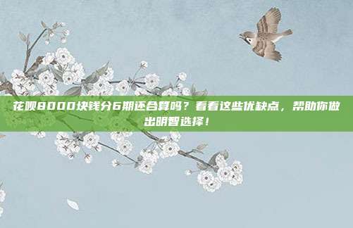 花呗8000块钱分6期还合算吗？看看这些优缺点，帮助你做出明智选择！