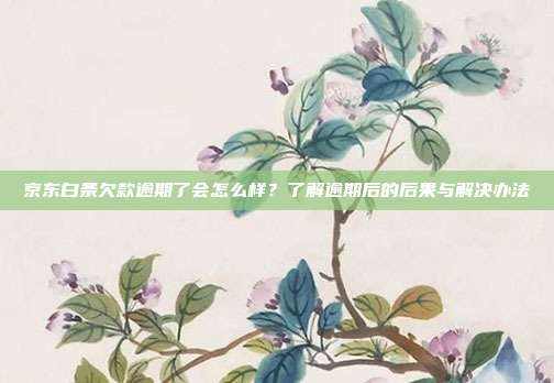 京东白条欠款逾期了会怎么样？了解逾期后的后果与解决办法