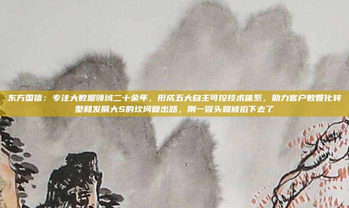 东方国信：专注大数据领域二十余年，形成五大自主可控技术体系，助力客户数智化转型和发展大S的坎坷复出路，刚一冒头就被掐下去了