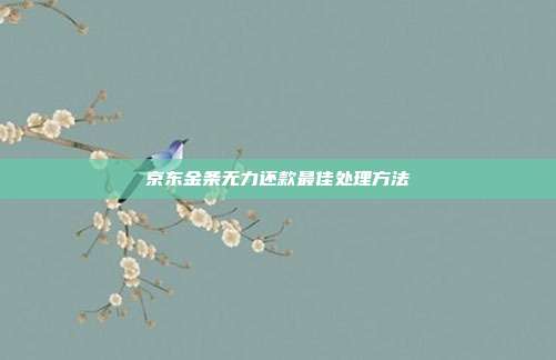 京东金条无力还款最佳处理方法