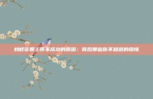 蚂蚁花呗上市不成功的原因：背后那些你不知道的隐情