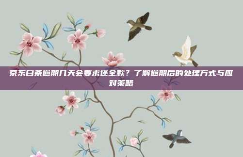 京东白条逾期几天会要求还全款？了解逾期后的处理方式与应对策略