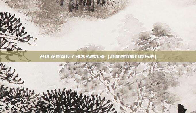 升级:花呗风控了钱怎么刷出来（商家秒到的几种方法）