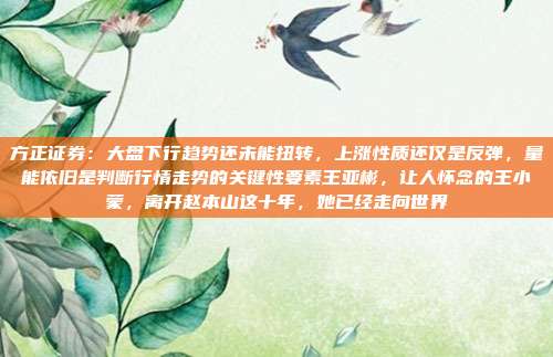 方正证券：大盘下行趋势还未能扭转，上涨性质还仅是反弹，量能依旧是判断行情走势的关键性要素王亚彬，让人怀念的王小蒙，离开赵本山这十年，她已经走向世界