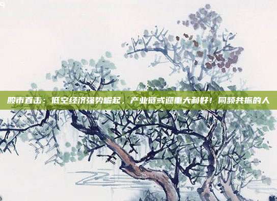 股市直击：低空经济强势崛起，产业链或迎重大利好！同频共振的人