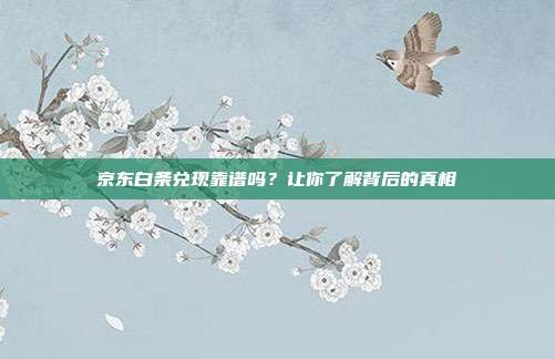 京东白条兑现靠谱吗?让你了解背后的真相 第1张 京东白条兑现靠谱吗?让你了解背后的真相 第1张