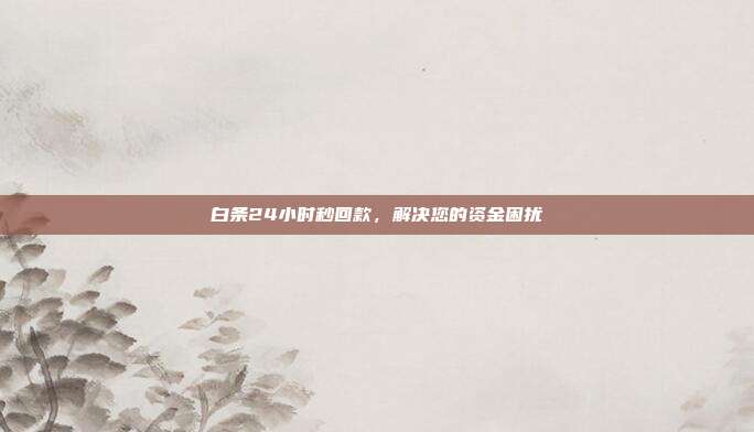 白条24小时秒回款,解决您的资金困扰 第1张 白条24小时秒回款,解决您的资金困扰 第1张