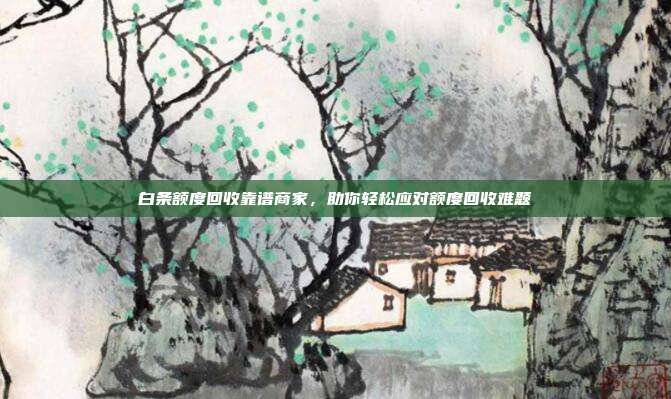白条额度回收靠谱商家,助你轻松应对额度回收难题 第1张 白条额度回收靠谱商家,助你轻松应对额度回收难题 第1张