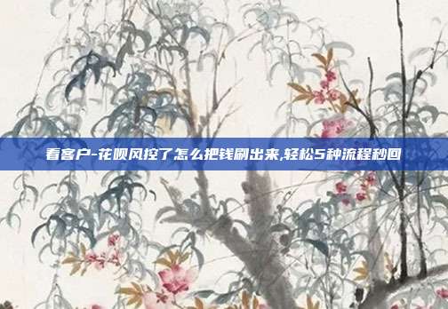 看客户-花呗风控了怎么把钱刷出来,轻松5种流程秒回 第1张 看客户-花呗风控了怎么把钱刷出来,轻松5种流程秒回 第1张