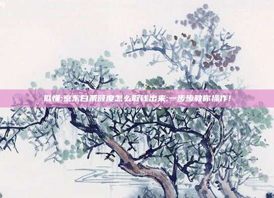 似懂:京东白条额度怎么取钱出来:一步步教你操作! 第1张 似懂:京东白条额度怎么取钱出来:一步步教你操作! 第1张