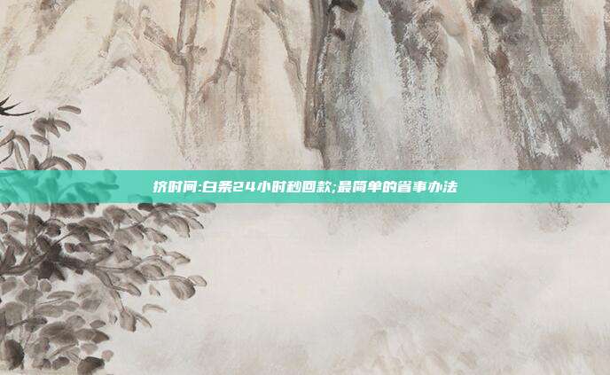 挤时间:白条24小时秒回款;最简单的省事办法 第1张 挤时间:白条24小时秒回款;最简单的省事办法 第1张