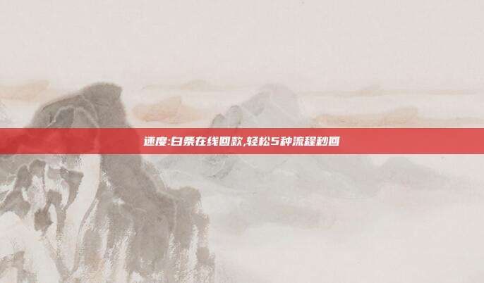 速度:白条在线回款,轻松5种流程秒回 第1张 速度:白条在线回款,轻松5种流程秒回 第1张