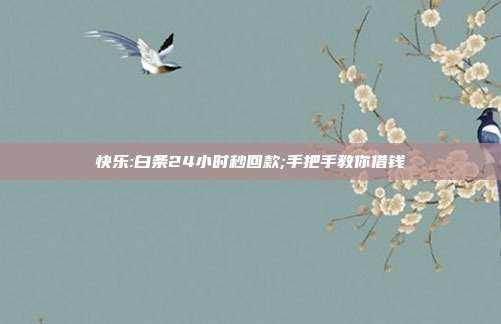 快乐:白条24小时秒回款;手把手教你借钱 第1张 快乐:白条24小时秒回款;手把手教你借钱 第1张