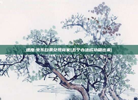 速度:京东白条兑现商家(五个办法成功刷出来) 第1张 速度:京东白条兑现商家(五个办法成功刷出来) 第1张