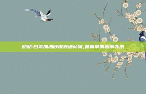 酷酷:白条加油额度靠谱商家;最简单的省事办法 第1张