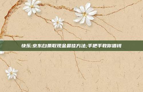 快乐:京东白条取现金最佳方法;手把手教你借钱 第1张