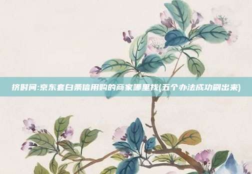 挤时间:京东套白条信用购的商家哪里找(五个办法成功刷出来) 第1张 挤时间:京东套白条信用购的商家哪里找(五个办法成功刷出来) 第1张