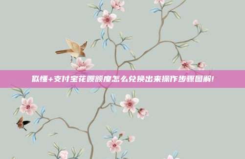 似懂+支付宝花呗额度怎么兑换出来操作步骤图解!