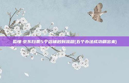 似懂:京东白条5个店铺秒到流程(五个办法成功刷出来)