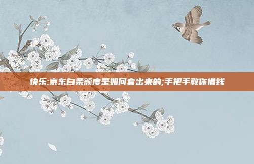 快乐:京东白条额度是如何套出来的;手把手教你借钱
