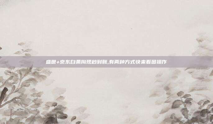 盛世+京东白条掏现秒到账,有两种方式快来看图操作
