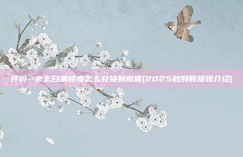评价--京东白条额度怎么兑换到微信(2025秒到账提现介绍) 第1张 评价--京东白条额度怎么兑换到微信(2025秒到账提现介绍) 第1张