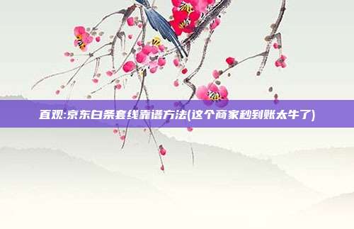 直观:京东白条套线靠谱方法(这个商家秒到账太牛了) 第1张