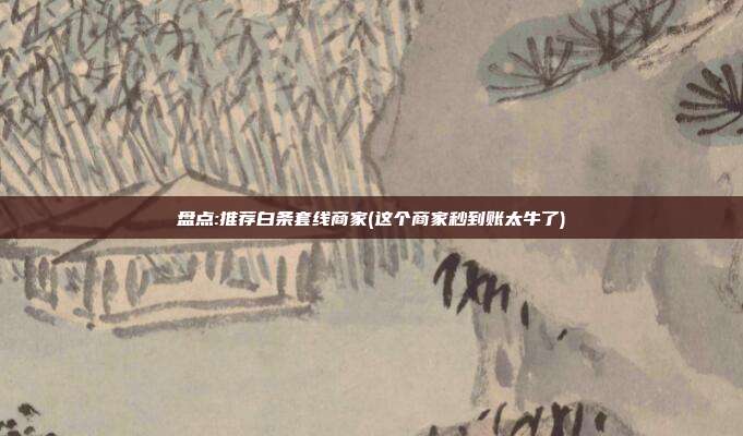 盘点:推荐白条套线商家(这个商家秒到账太牛了) 第1张 盘点:推荐白条套线商家(这个商家秒到账太牛了) 第1张