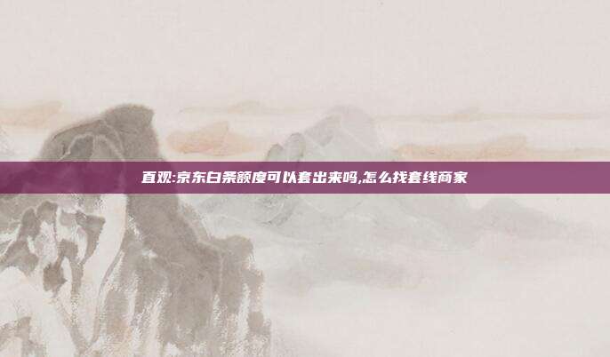 直观:京东白条额度可以套出来吗,怎么找套线商家 第1张 直观:京东白条额度可以套出来吗,怎么找套线商家 第1张